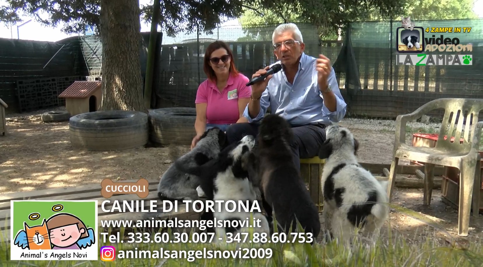 Canile Municipale di Tortona - Animal's Angels Novi Onlus
